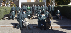 Lee más sobre el artículo Grande-Marlaska impone las primeras condecoraciones a agentes caninos de la Guardia Civil por su servicio a la sociedad