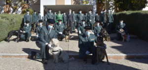 Grande-Marlaska impone las primeras condecoraciones a agentes caninos de la Guardia Civil por su servicio a la sociedad