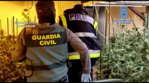 Lee más sobre el artículo Desarticulada una peligrosa organización criminal dedicada al tráfico de drogas y blanqueo de capitales