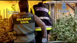 Desarticulada una peligrosa organización criminal dedicada al tráfico de drogas y blanqueo de capitales