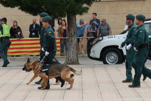 Actos de celebración de la Patrona de la Guardia Civil (Octubre 2019)